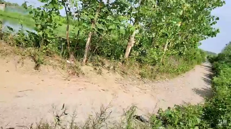 【2021-09-13 15点场】洪湖小肖：怼坑走起！！！