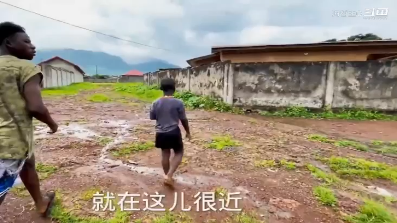 非洲飞哥美食214