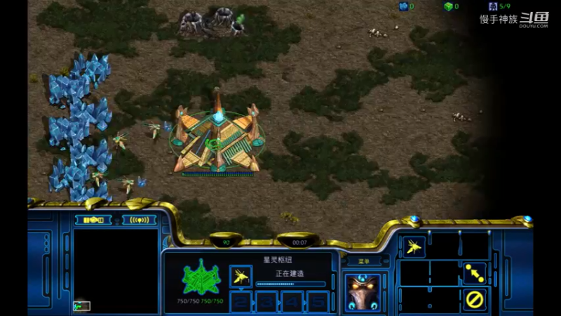 斗魂pvz2021-09-13 E