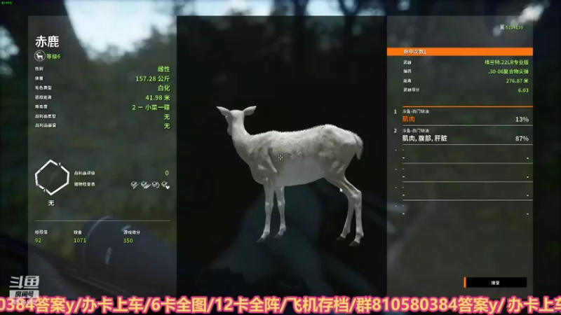 【2021-09-09 21点场】西门缺油：到底是不是录播？？