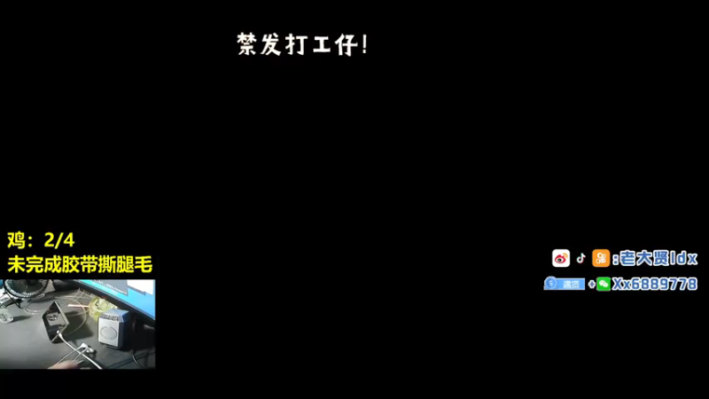 【2021-09-13 19点场】老大贤：猛男1v4：带你看遍海岛上每个小姐姐