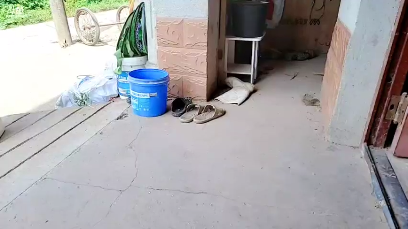 【2021-09-13 10点场】洪湖小肖：怼坑走起！！！