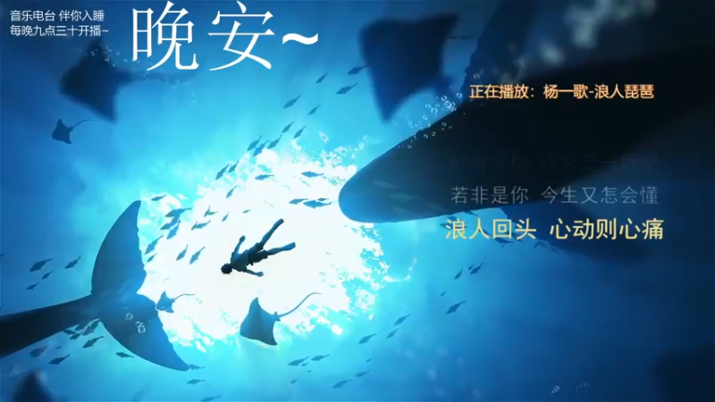 【2021-09-13 04点场】杨一歌：杨一歌：鱼儿你慢慢游11258
