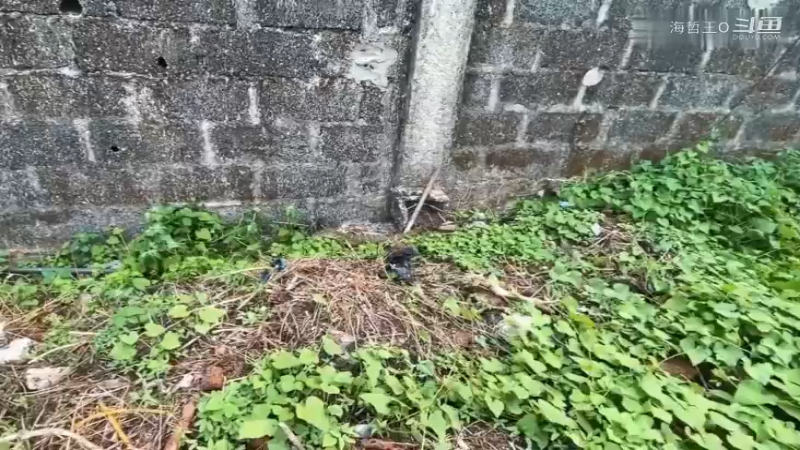 非洲飞哥美食10