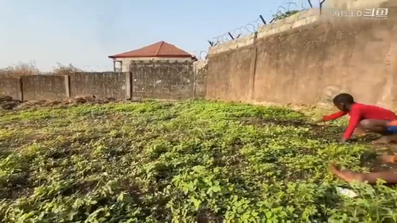 非洲飞哥美食48