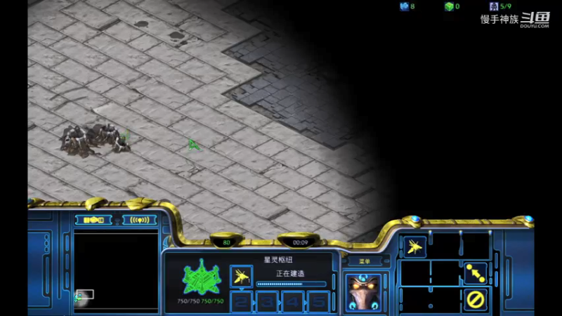 天梯苯环pvz2021-09-13