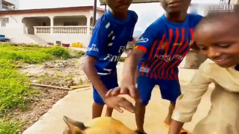 非洲飞哥美食86