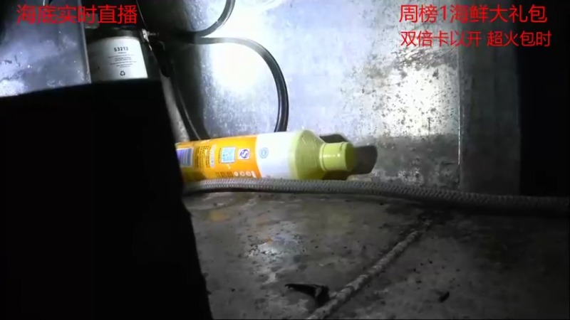 【2021-09-14 20点场】海道丶：海底直播-探索金海龙