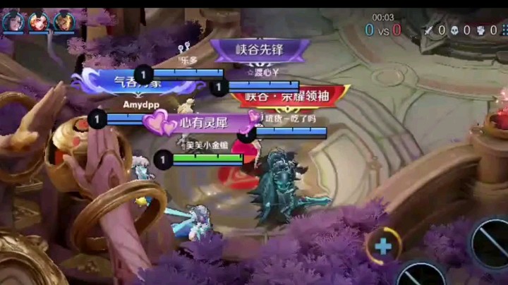 王者荣耀笑笑小金蟾元芳打野