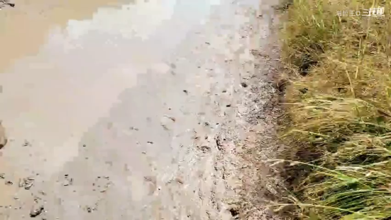 洪湖小肖直播_户外直播_斗鱼直播24