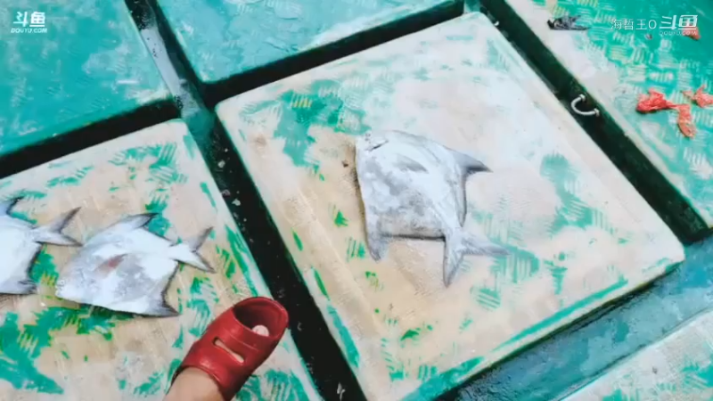 深山大咖直播_户外直播_斗鱼直播85