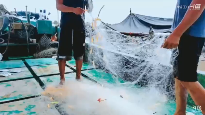 深山大咖直播_户外直播_斗鱼直播99