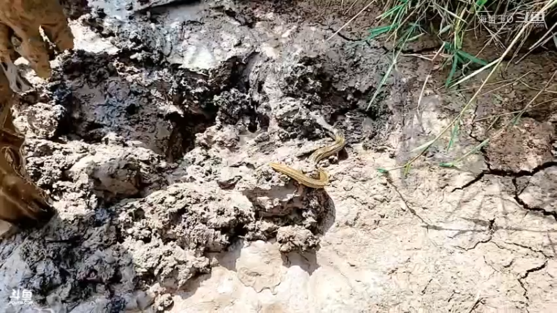 洪湖小肖直播_户外直播_斗鱼直播41