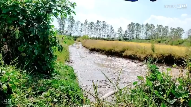 洪湖小肖直播_户外直播_斗鱼直播46