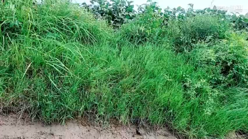 洪湖小肖直播_户外直播_斗鱼直播28