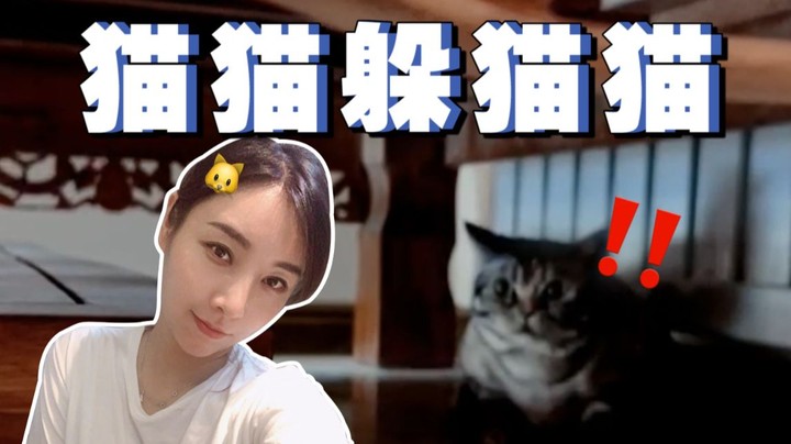 【女流】在车库和猫玩躲猫猫