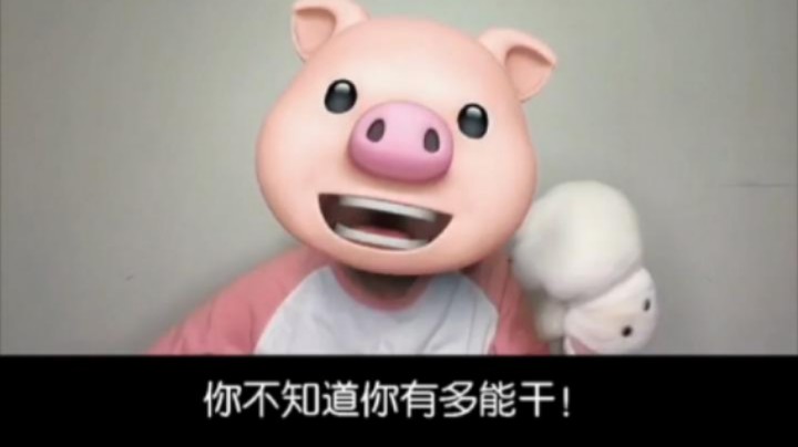 勇敢猪猪 不怕长胖！！
