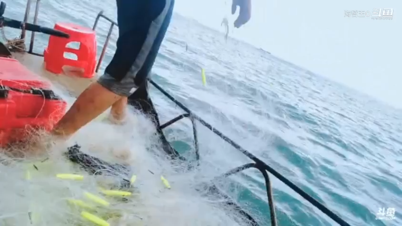 深山大咖直播_户外直播_斗鱼直播44