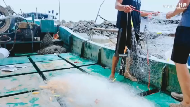 深山大咖直播_户外直播_斗鱼直播101