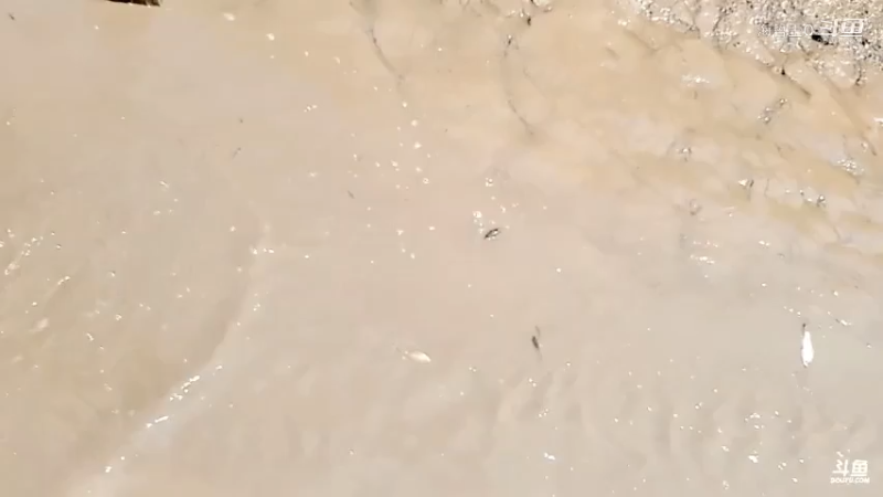 洪湖小肖直播_户外直播_斗鱼直播14