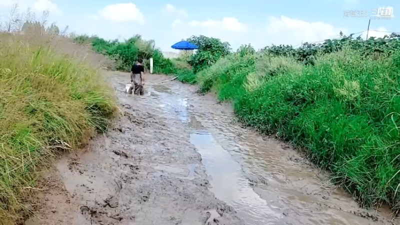 洪湖小肖直播_户外直播_斗鱼直播27