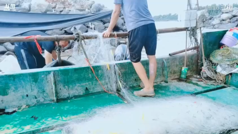 深山大咖直播_户外直播_斗鱼直播88