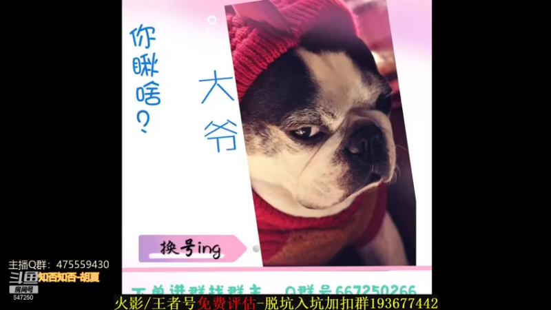 【2021-09-13 22点场】小马锅马杰：马锅：恭贺老华60大寿。