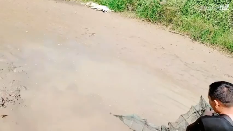 洪湖小肖直播_户外直播_斗鱼直播30