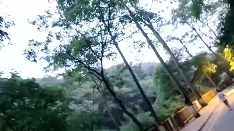 【2021-09-14 19点场】川味箩卜：黔灵山看猴子