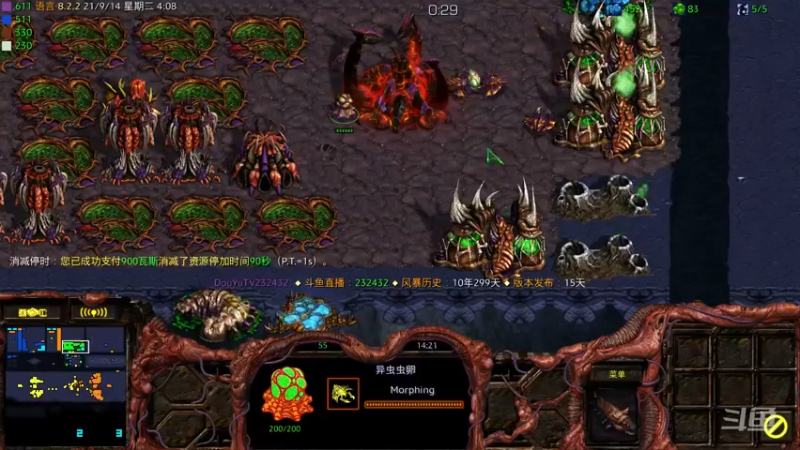 【2021-09-14 04点场】星际DSA联赛：天使風暴™️ 專業版