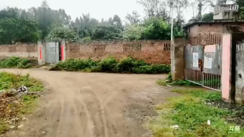 深山大咖直播_户外直播_斗鱼直播27