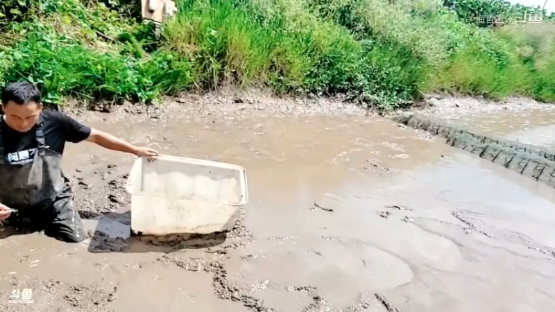 洪湖小肖直播_户外直播_斗鱼直播8