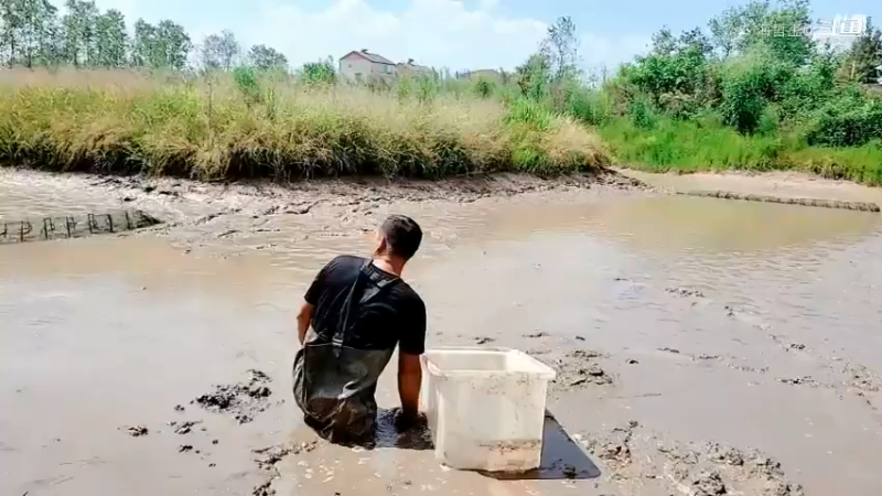 洪湖小肖直播_户外直播_斗鱼直播2