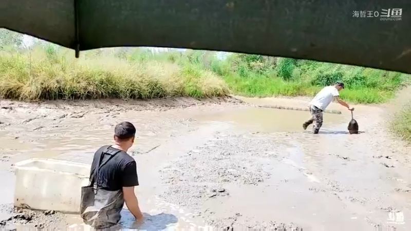 洪湖小肖直播_户外直播_斗鱼直播4