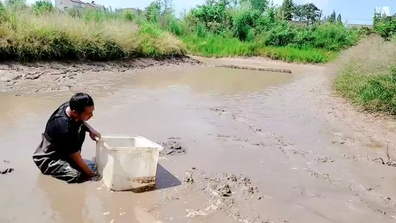 【2021-09-14 13点场】洪湖小肖：怼坑走起！！！