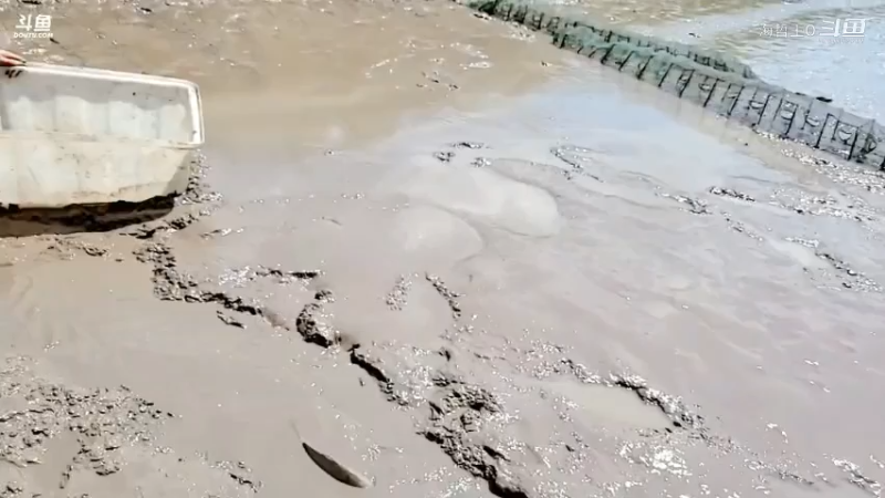 洪湖小肖直播_户外直播_斗鱼直播9