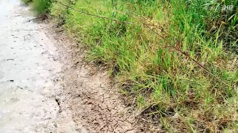 洪湖小肖直播_户外直播_斗鱼直播39