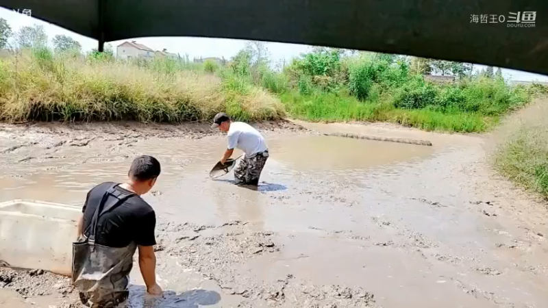 洪湖小肖直播_户外直播_斗鱼直播3