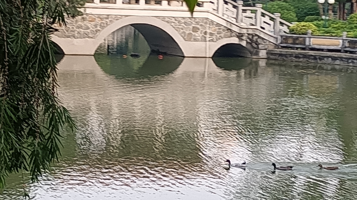 每天从爱自己开始