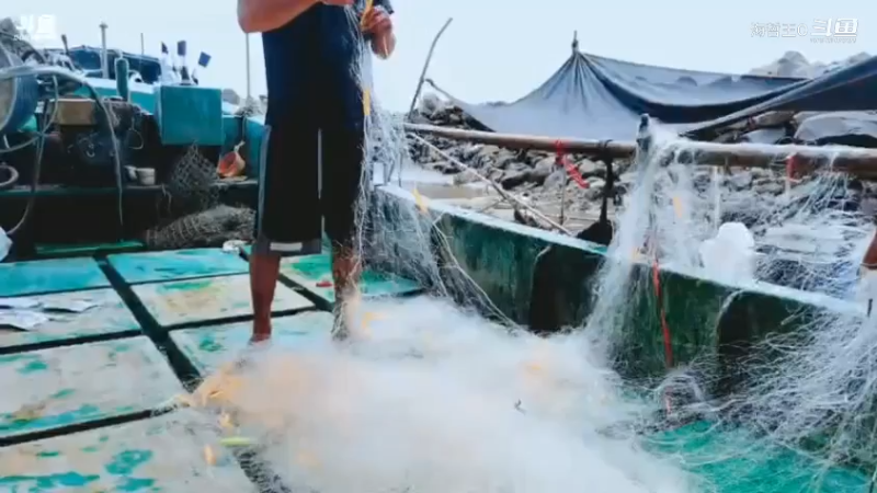 深山大咖直播_户外直播_斗鱼直播98