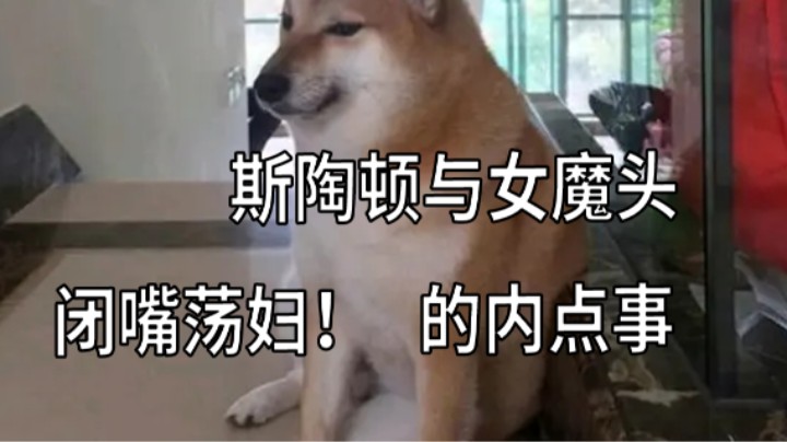 闭嘴！斯陶顿与女魔头的内点事1 开拓者正义之怒的奇闻趣事002