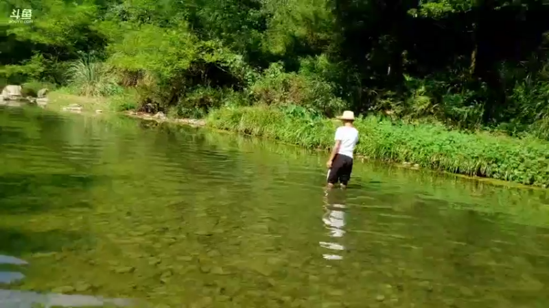 【2021-09-14 15点场】魅力生活i：小时候回忆钓刺湫