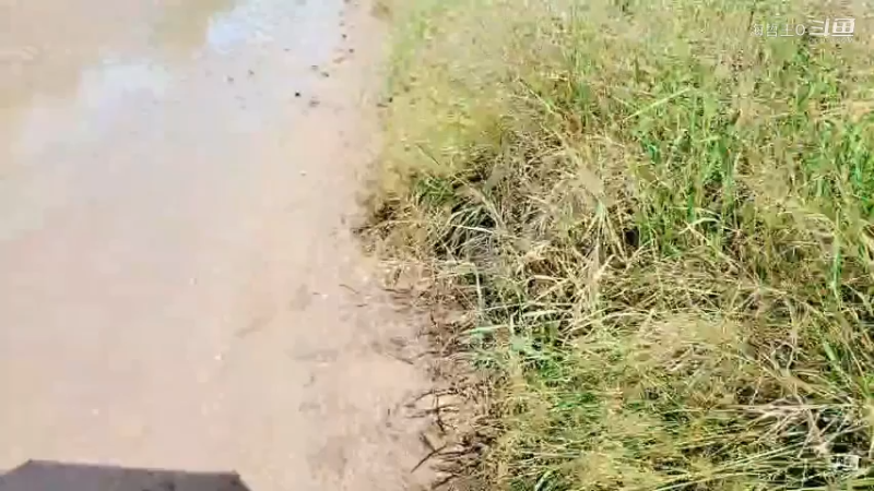 洪湖小肖直播_户外直播_斗鱼直播42