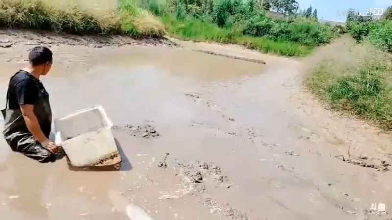 洪湖小肖直播_户外直播_斗鱼直播