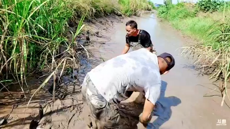 【2021-09-14 15点场】洪湖小肖：怼坑走起！！！