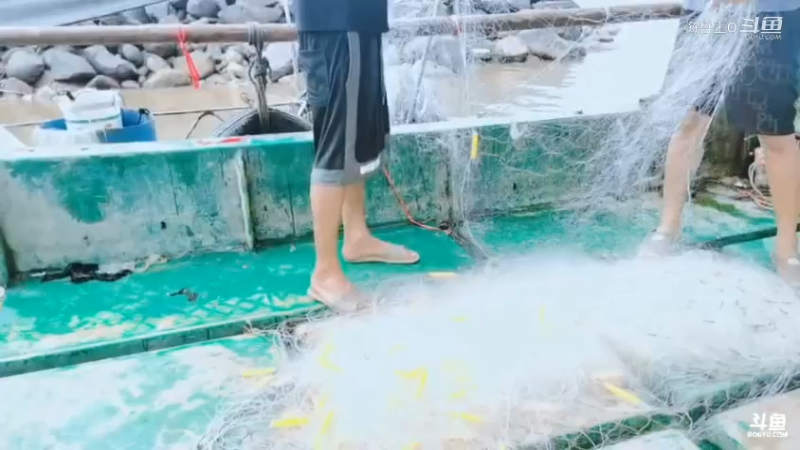 深山大咖直播_户外直播_斗鱼直播89