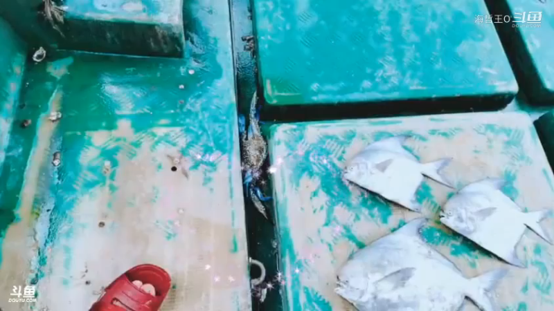 深山大咖直播_户外直播_斗鱼直播95