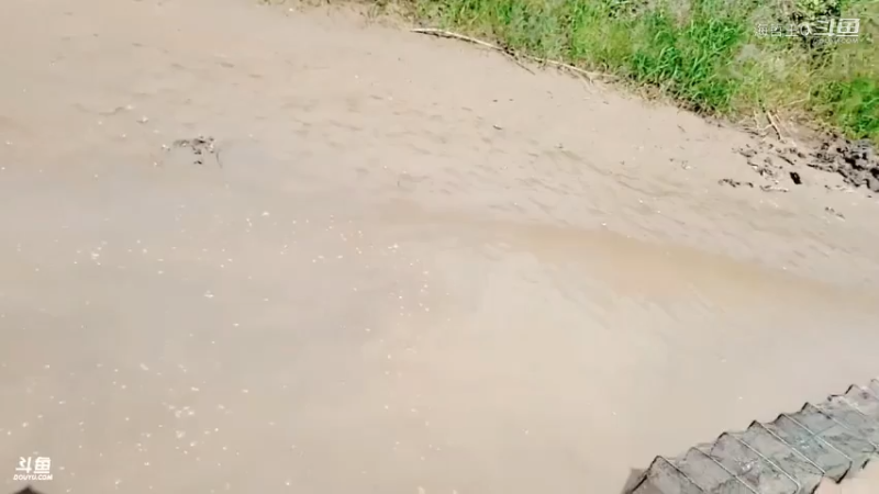 洪湖小肖直播_户外直播_斗鱼直播11