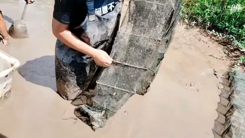 洪湖小肖直播_户外直播_斗鱼直播12