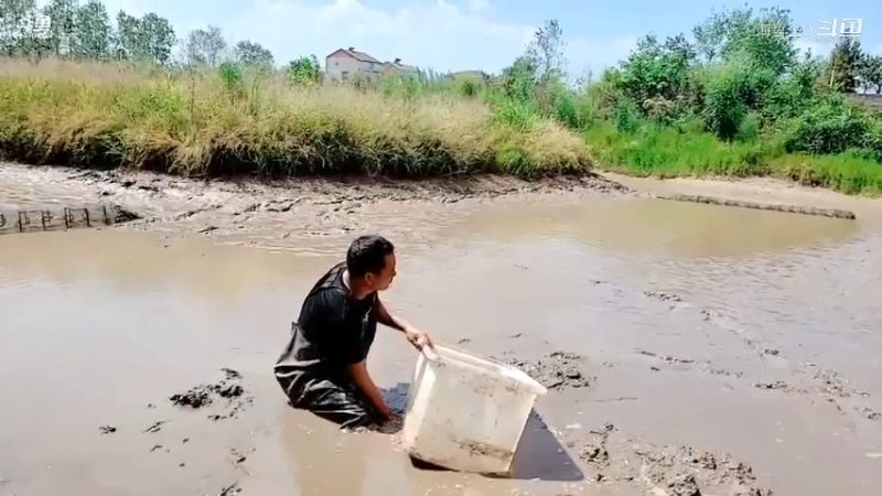 洪湖小肖直播_户外直播_斗鱼直播1